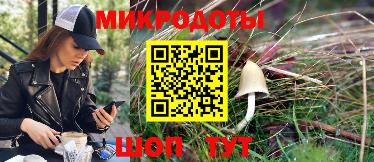 Псилоцибиновые грибы Cubensis Сальск