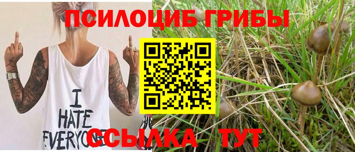 Сальск  Галлюциногенные грибы прущие грибы  наркота  Вход с VPN  Псилоцибиновые грибы MAGIC MUSHROOMS 
